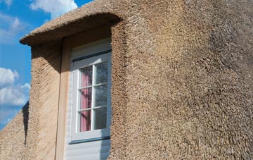 Combe Almer thatch roof disadvantages