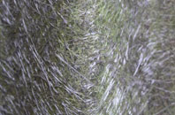 Combe Almer fibreglass roof work